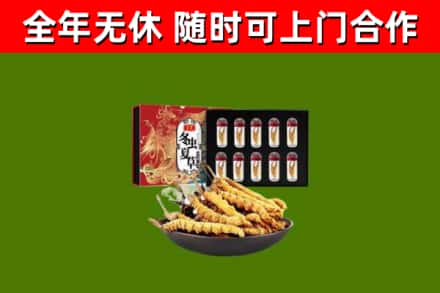 振兴回收冬虫夏草价格